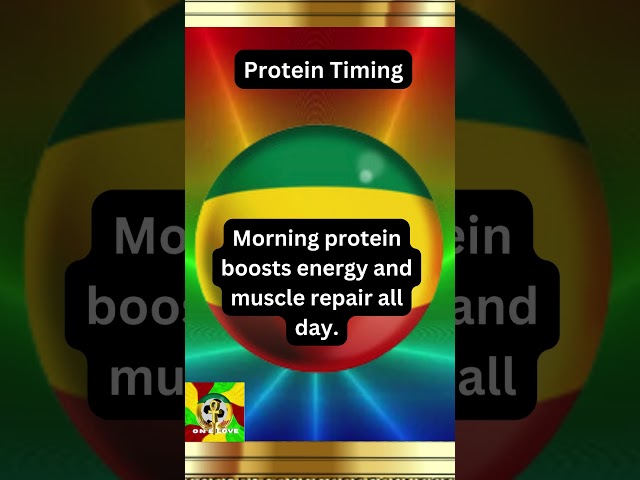 Workout  Protein,  Fact, Music, Video,  🔴🟡🟢🔵 🔴🟡🟢🔵 🔴🟡🟢🔵🔴🟡🟢🔵 🔴🟡🟢