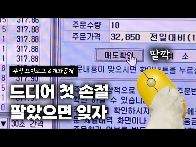 드디어 손절로 계좌 복구 시작한 주린이 / 주식 브이로그 백수의 일상