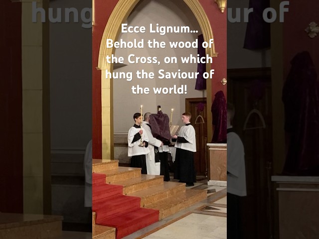 Ecce lignum...Behold the wood of the Cross, on which hung the Saviour of the world!#bostonlatinmass