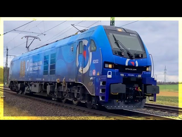 Trainspotting in BS - Am Bahnübergang im Staatsforst Braunschweig Buchhorst ICE-4 IC-2 Vectron Traxx