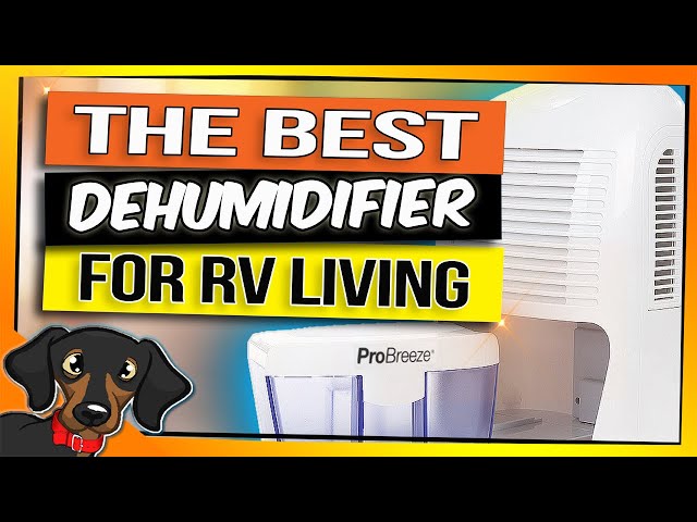 🔴Controlling RV Moisture with ProBreeze  Dehumidifier | RV Living