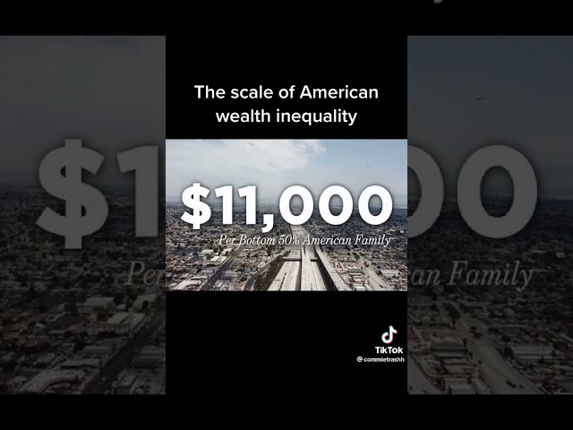 🇺🇸 Wealth Inequality | From RealLifeLore on YouTube