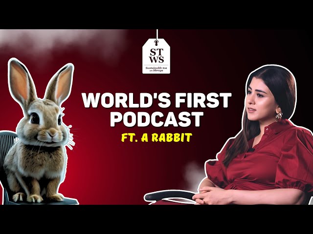 This Talking Rabbit Exposes The Entire Beauty & Cosmetic Industry. And What You Can Do About It.