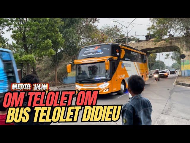 UNIK!!! KLAKSON TELOLET BASURI, BUS INDONESIA MIDIO JALAN OM TELOLET OM