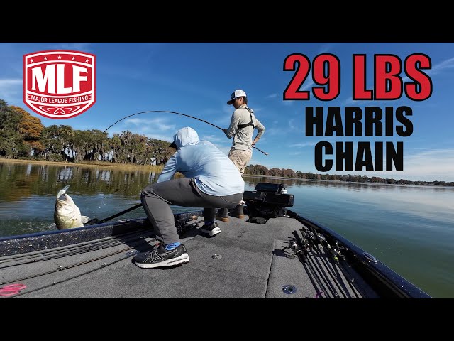 29 LB BAG - Harris Chain MLF WIN!  High School Bass Fishing Tournament