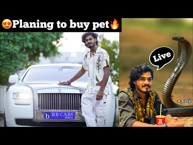 😍Planning to buy snake🔥| Live |🥰Give som legal advice TTF | how to buy legally?| TTF |