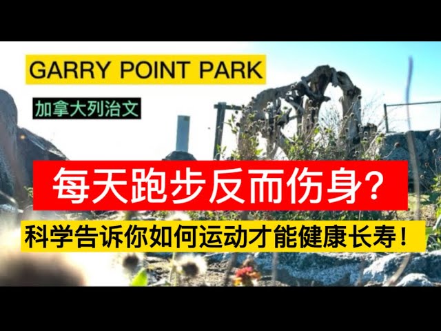 每天跑步反而伤身？科学告诉你如何运动才能健康长寿！｜Garry Point Park Richmond Canada