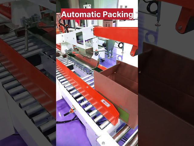 Fully Automatic Box packing line #automation #newshorts