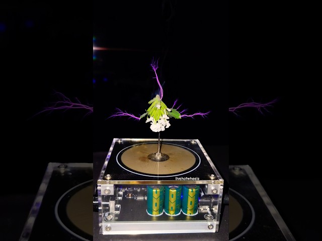 🥀 Music Tesla Coil experiment #shorts #flower #lightning