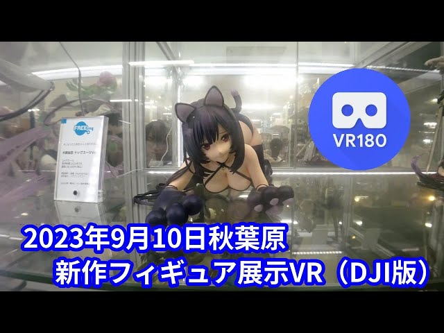 【VR180 3D】2023/9/10の秋葉原新作フィギュア展示VR(DJI版)