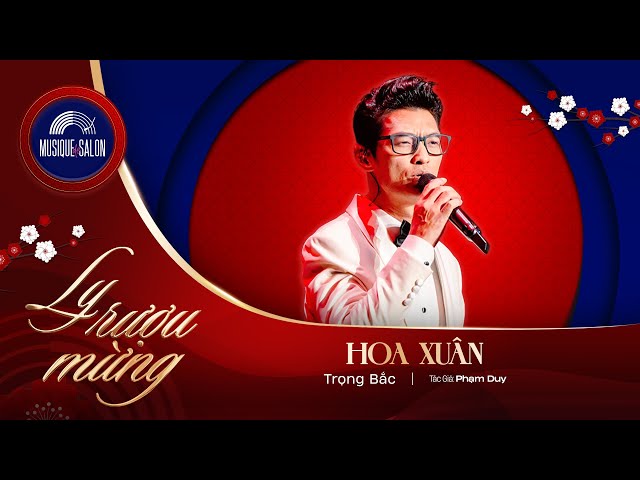 HOA XUÂN | Phạm Duy | Trọng Bắc | live concert LY RƯỢU MỪNG - nhạc xuân 2025 Musique de Salon