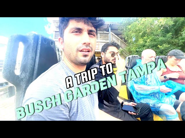 Thrills and Wildlife: Exploring Busch Gardens Tampa #tampa #amusementpark #subscribe #rollercoaster