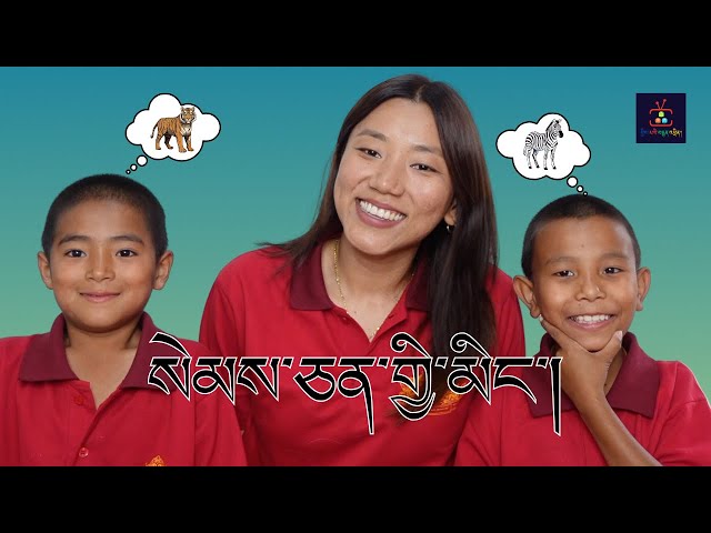 བོད་དབྱིན་ཐོག་སེམས་ཅན་གྱི་མིང་། NAMES OF ANIMALS WITH PICTURES | བྱིས་པའི་བརྙན་འཕྲིན། | EP. 06