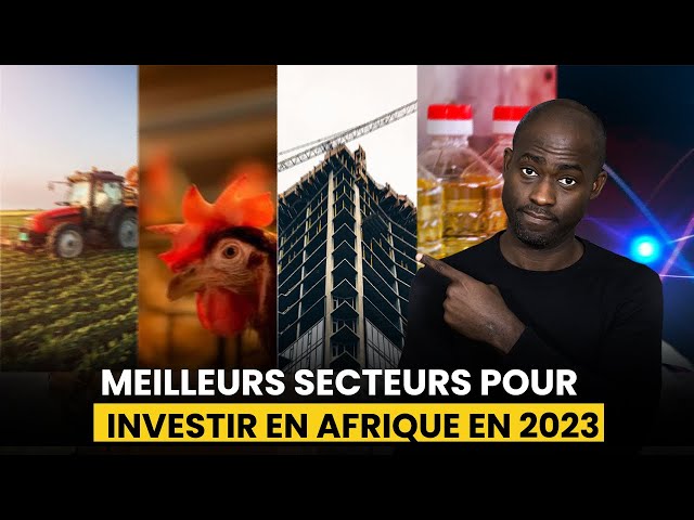 Les meilleurs secteurs pour investir pour la diaspora en Afrique