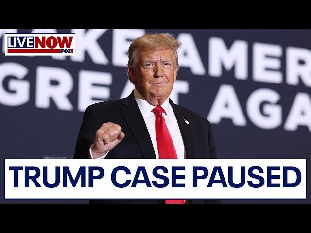 Trump election case paused: Judge halts deadlines over immunity issue | LiveNOW from FOX