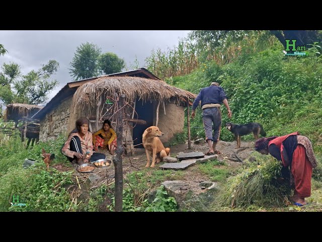 This is Himalayan Most Peaceful Nepali Village Lifestyle | Organic Food Cooking in Countryside Nepal