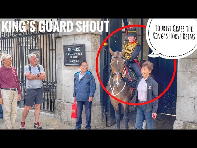 Unbelievable: Female King’s Guard Shout Tourist Grabs the King’s Horse Reins!