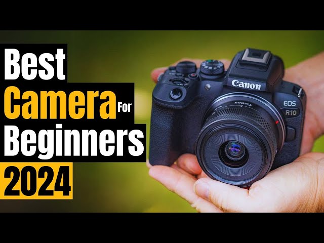 Best Cameras for Beginners in 2024 [Affordable, Easy-to-Use, and Powerful]