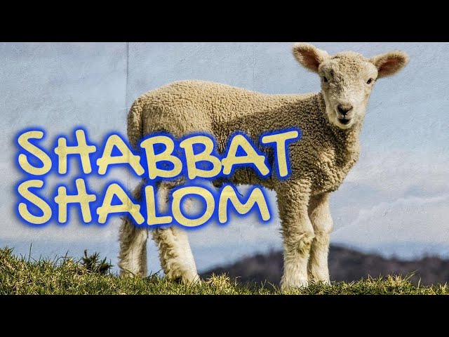 Shabbat Shalom | Lyrics Video