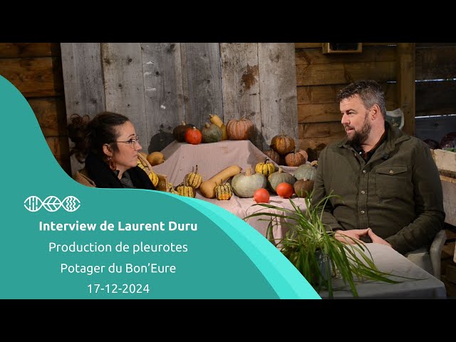 Interview de Laurent Duru - Production de Pleurotes - 17/12/2024