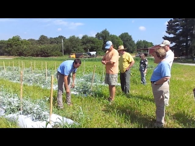 Beginning Farms Project