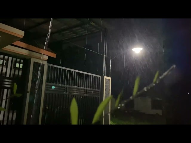 Rain Sounds For Sleeping - 99% Instantly Fall Asleep With Rain And Thunder Sound At Night