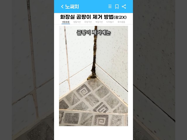 화장실 곰팡이 청소 방법