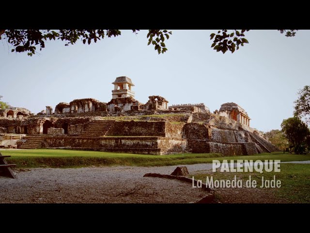 Palenque, La Moneda de Jade. PIEDRAS QUE HABLAN