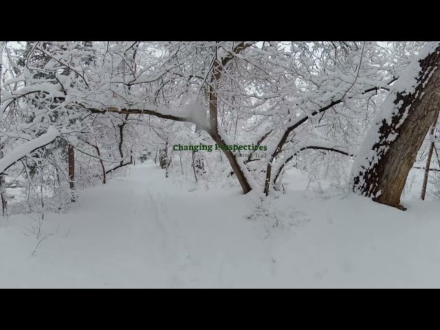 MONO - Snowy Trail