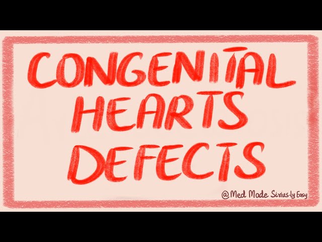 Congenital Heart Defects - Cardiac Pathology