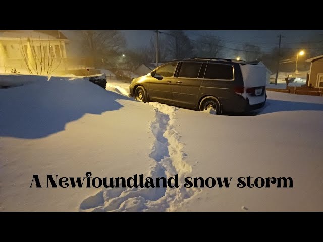 Newfoundland Blizzard February 10, 2025