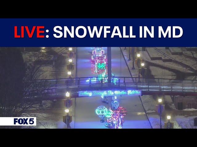 LIVE I Snowfall in Maryland, DC