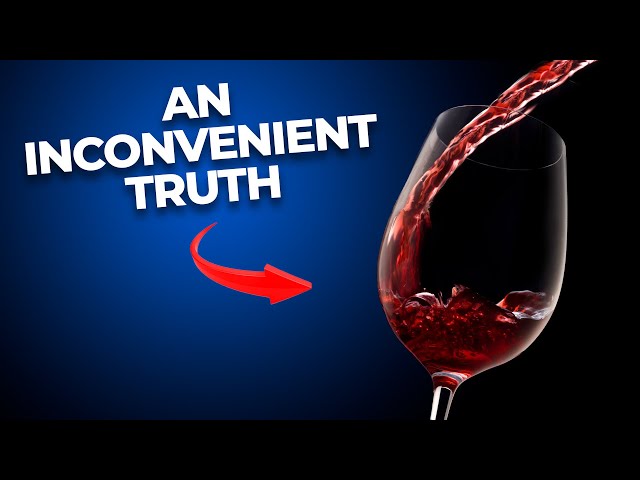 You May Never Drink ALCOHOL Again After Watching This!