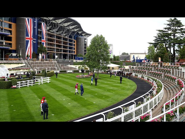 Parade Ring 360° Camera Live