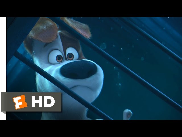 The Secret Life of Pets - Get the Keys! Scene (8/10) | Movieclips