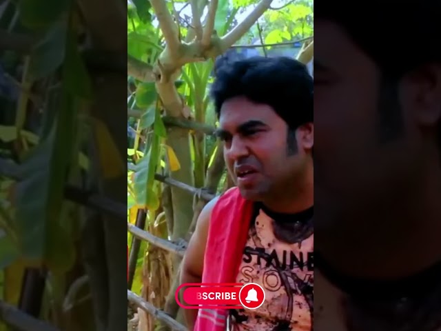 "Bangla short video '' বউ পাগল '' Bou Pagol " ll #bangla #short_videos #comedy_short_videos