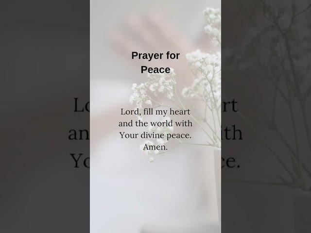 Prayer for peace #prayer #peace #motivation