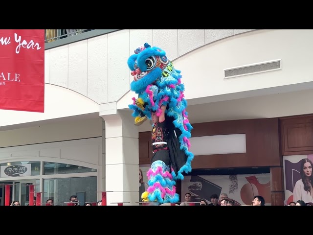 "Lion Dance Me" at San Mateo Hillsdale Mall New Year Celebration - 2