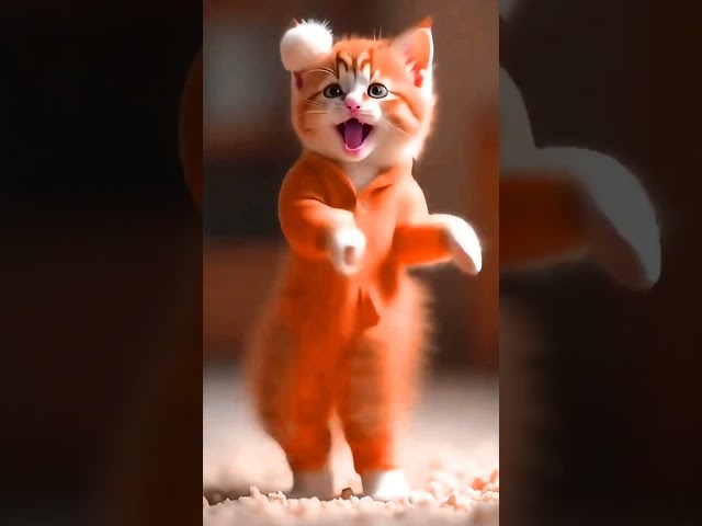 Cute Cat dance video 001. #catfunny #funny #billikabachcha #meowbilli #funnymoment #funniestvideo