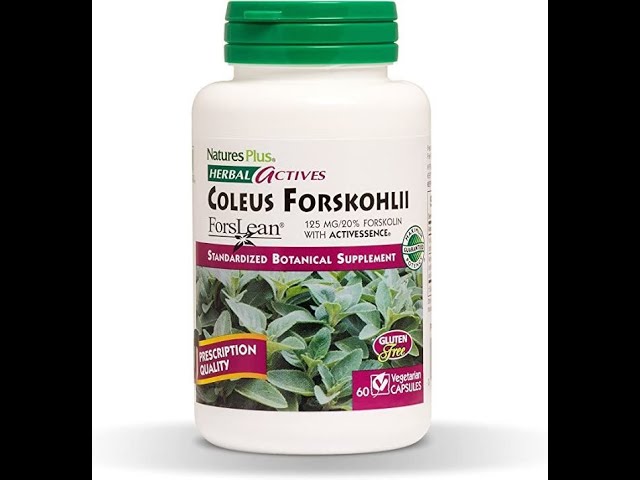 Coleus forskohlii NaturesPlus Herbal Actives– Heart Support Supplement, Supports Healthy Metabolism