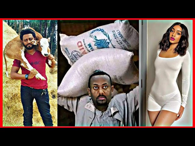 Tik Tok Ethiopian Funny Videos Compilation |Tik Tok Habesha Funny Vine Video compilation #22