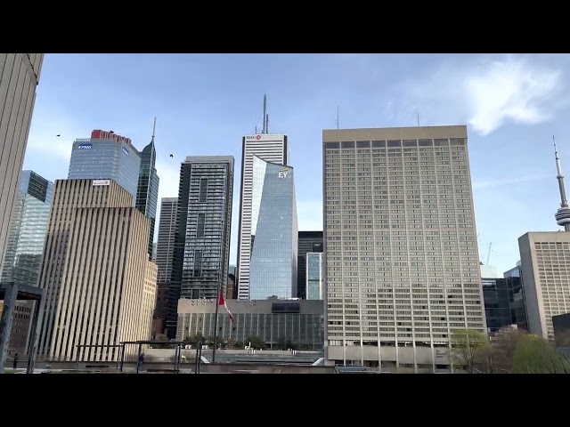 Toronto City Hall Green Roof