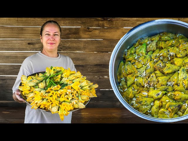 Stuffed Zucchini Flowers from Our Lovely Aegean Village