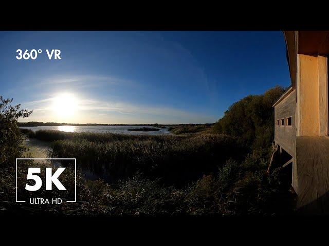 Relaxing In A Cabin On The Avalon Marshes - Relaxing Wind And Water Sounds - 360° VR 5K Ultra HD