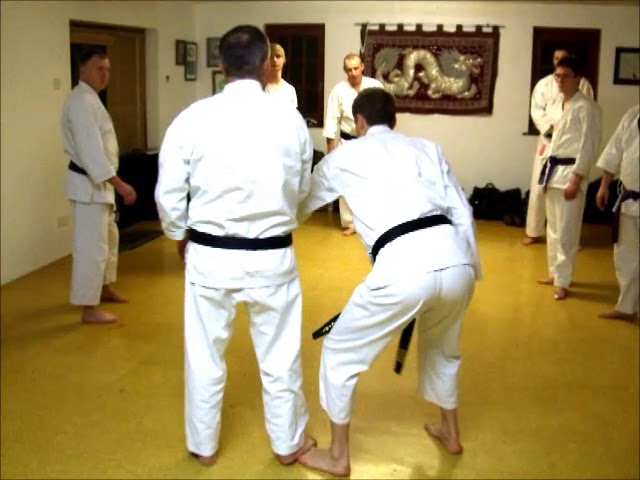 Tom Hill's Karate Dojo; Seisan; Block, Lock, Groin strike