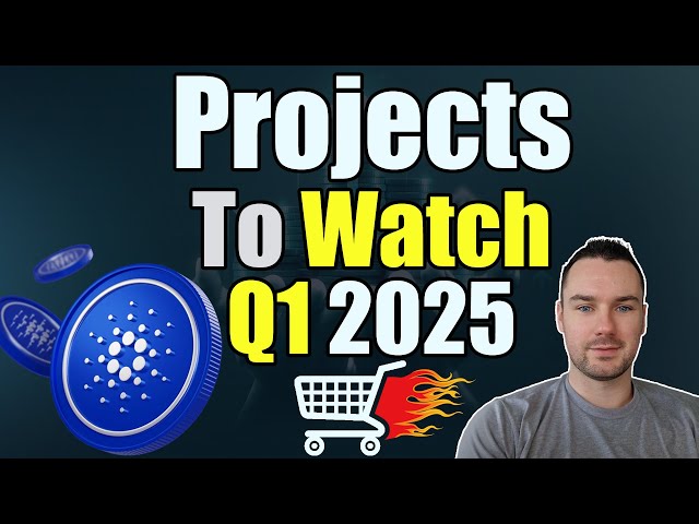 Cardano NATIVE ASSETS To Watch This Quarter! Community Picks!