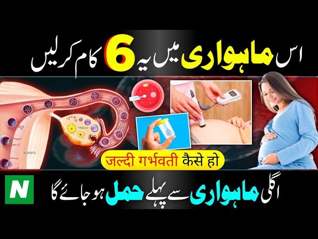 Mahvari K Bad Ye 6 Kam Kr Lain -100% Hamal Tehar Jae Ga ✅| Tips To Get Pregnant Fast in Hindi