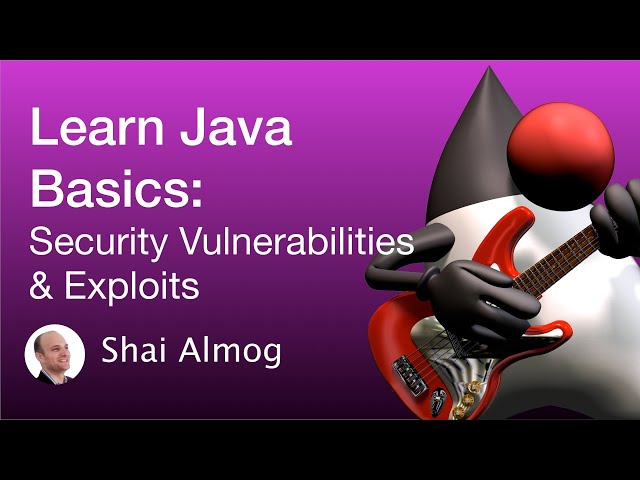 Java Basics - Java Security Vulnerability, Exploits and Mitigation