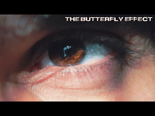 THE BUTTERFLY EFFECT (ALBUM) - Making