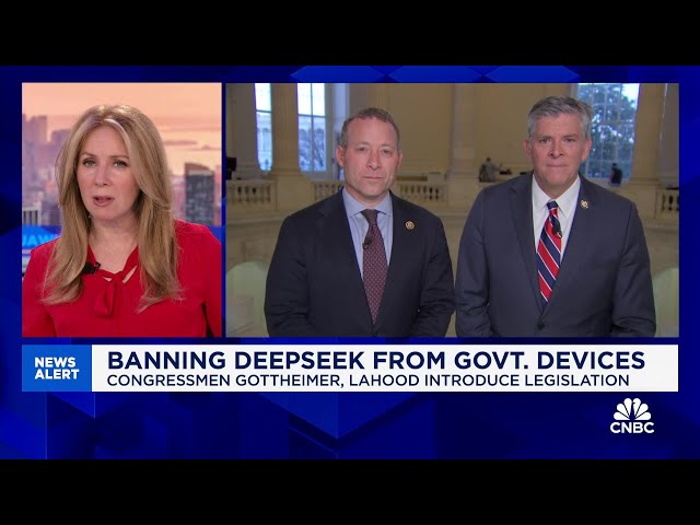 Rep. Darin LaHood on DeepSeek ban: It's long overdue that we really question what they're doing